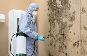 Why You Should Choose Our Mold Remediation Services in Montezuma, IA